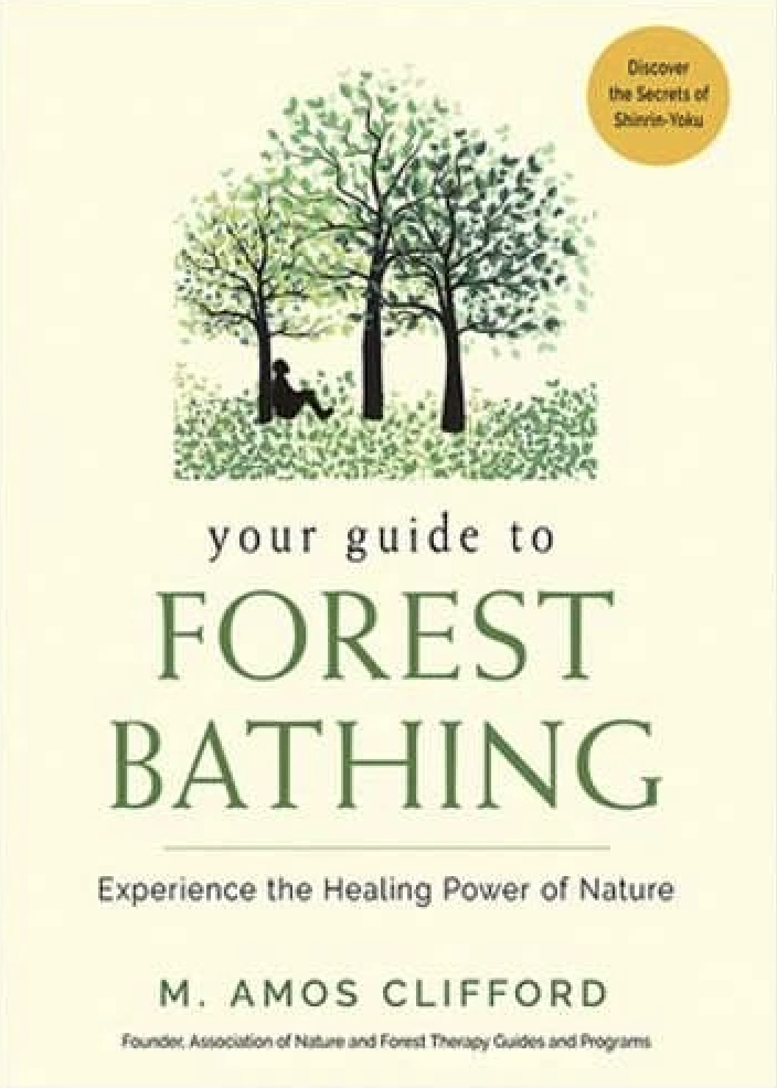 Your Guide to Forest Bathing : Experience the Healing Power of Nature
