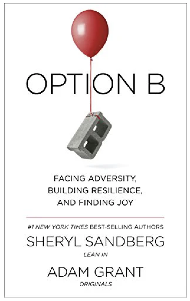 OPTION B : FACING ADVERSITY, BUILDING RESILIENCE, AND FINDING JOY