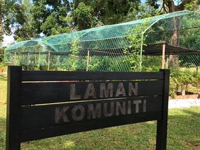 Community Garden.jpg