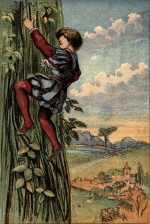 Card image cap